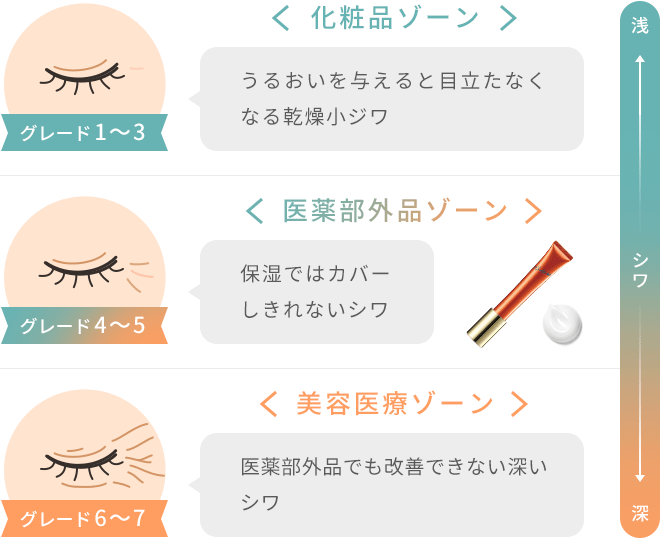 シワのグレード