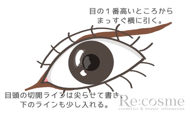 目の一番高いところからまっすぐ横に引く