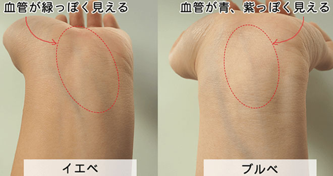 イエローベースとブルーベースの血管比較