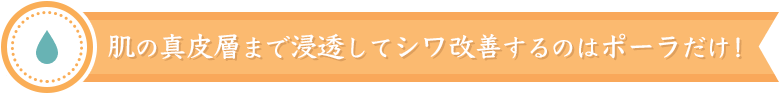 リンクルショットの人気の理由